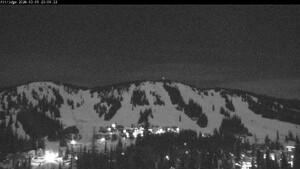 Silver Star: Alpine Meadows (skisilverstar.com)