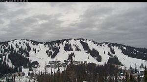 Silver Star: Alpine Meadows (skisilverstar.com)