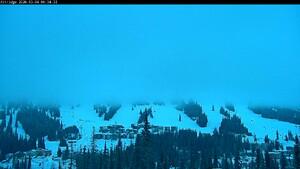 Silver Star: Alpine Meadows (skisilverstar.com)