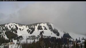 Silver Star: Alpine Meadows (skisilverstar.com)