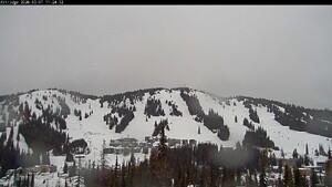 Silver Star: Alpine Meadows (skisilverstar.com)