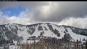 Silver Star: Alpine Meadows (skisilverstar.com)