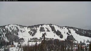 Silver Star: Alpine Meadows (skisilverstar.com)