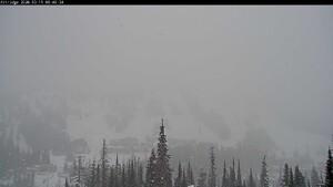 Silver Star: Alpine Meadows (skisilverstar.com)