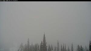 Silver Star: Alpine Meadows (skisilverstar.com)