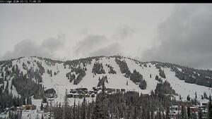 Silver Star: Alpine Meadows (skisilverstar.com)