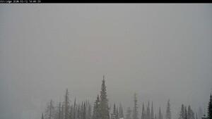 Silver Star: Alpine Meadows (skisilverstar.com)