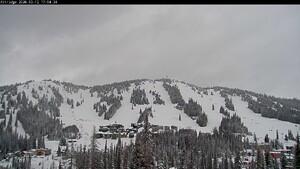 Silver Star: Alpine Meadows (skisilverstar.com)