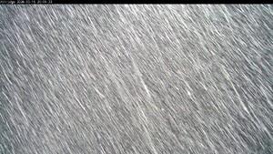 Silver Star: Alpine Meadows (skisilverstar.com)