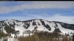 Silver Star: Alpine Meadows (skisilverstar.com)