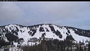 Silver Star: Alpine Meadows (skisilverstar.com)