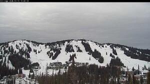 Silver Star: Alpine Meadows (skisilverstar.com)