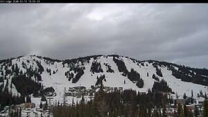 Webcam Silver Star: Alpine Meadows