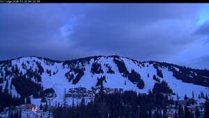 Webcam Silver Star: Alpine Meadows