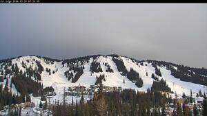 Webcam Silver Star: Alpine Meadows