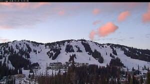 Silver Star: Alpine Meadows (skisilverstar.com)