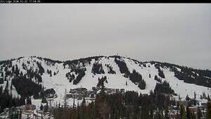 Silver Star: Alpine Meadows (skisilverstar.com)