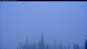 Silver Star: Alpine Meadows (skisilverstar.com)