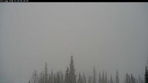 Silver Star: Alpine Meadows (skisilverstar.com)