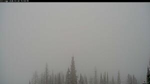 Silver Star: Alpine Meadows (skisilverstar.com)