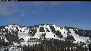 Silver Star: Alpine Meadows (skisilverstar.com)