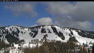 Silver Star: Alpine Meadows (skisilverstar.com)