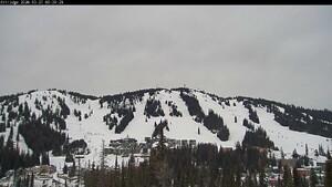 Silver Star: Alpine Meadows (skisilverstar.com)