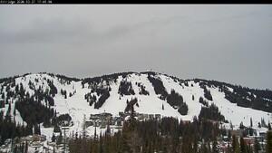 Silver Star webcam