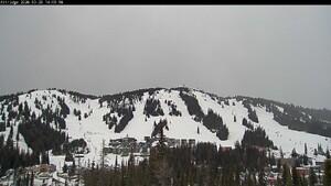 Silver Star: Alpine Meadows (skisilverstar.com)