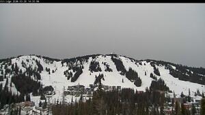 Silver Star: Alpine Meadows (skisilverstar.com)