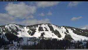 Silver Star: Alpine Meadows (skisilverstar.com)