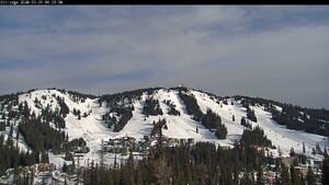 Webcam Silver Star: Alpine Meadows