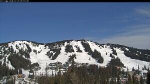 Webcam Silver Star: Alpine Meadows