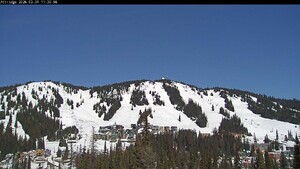 Webcam Silver Star: Alpine Meadows