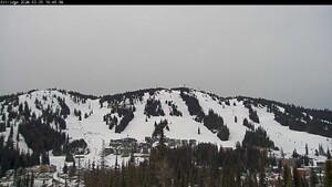 Silver Star: Alpine Meadows (skisilverstar.com)