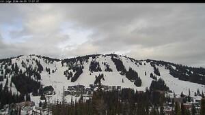 Silver Star: Alpine Meadows (skisilverstar.com)