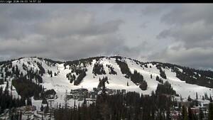 Silver Star: Alpine Meadows (skisilverstar.com)