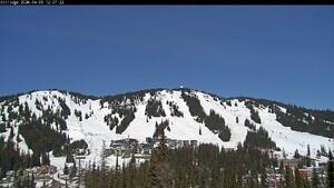 Silver Star: Alpine Meadows (skisilverstar.com)