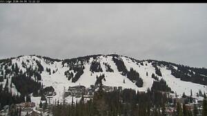 Silver Star: Alpine Meadows (skisilverstar.com)