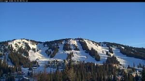 Silver Star: Alpine Meadows (skisilverstar.com)