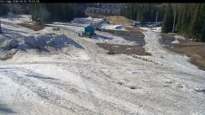 Webcam Silver Star: Alpine Meadows