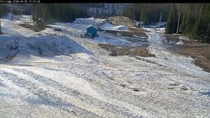 Webcam Silver Star: Alpine Meadows