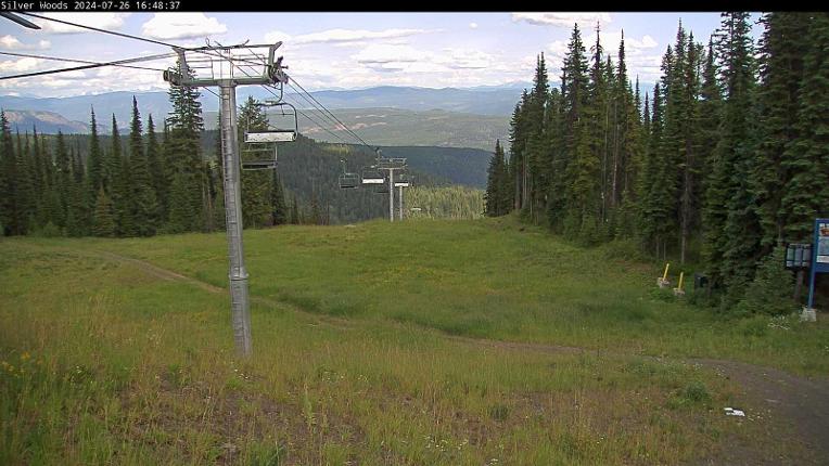 Webcam Silver Star: Top Of Silver Woods