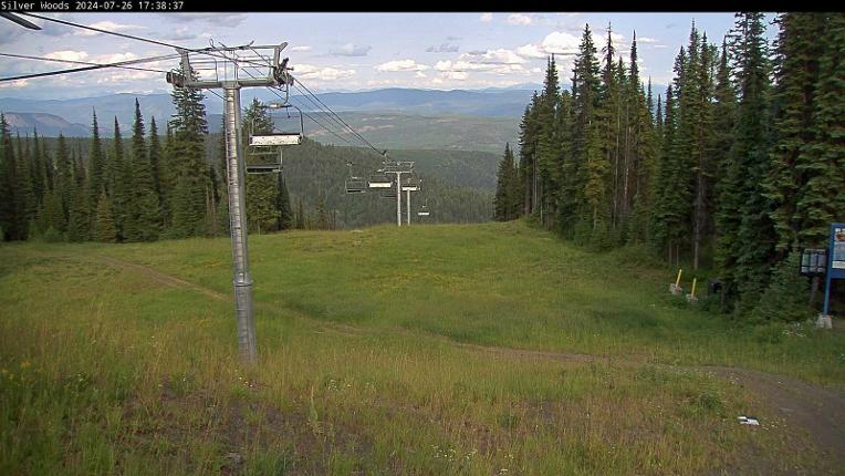 Webcam Silver Star: Top Of Silver Woods