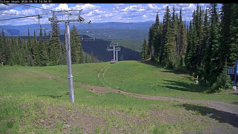 Webcam Silver Star: Top Of Silver Woods