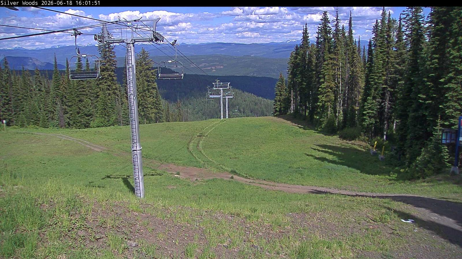 Webcam Silver Star: Top Of Silver Woods