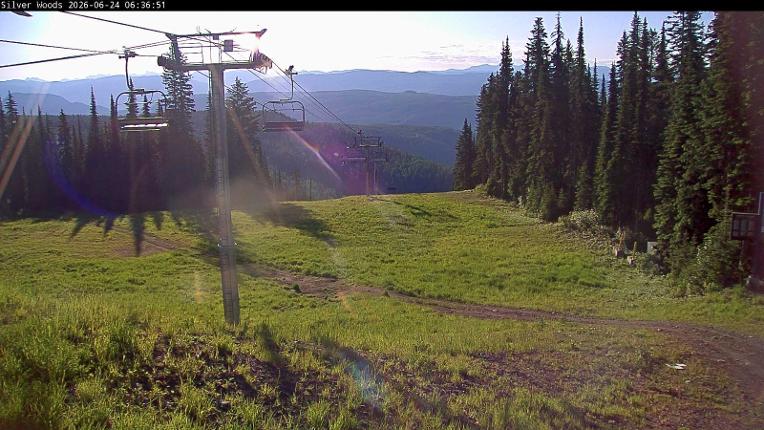 Webcam Silver Star: Top Of Silver Woods