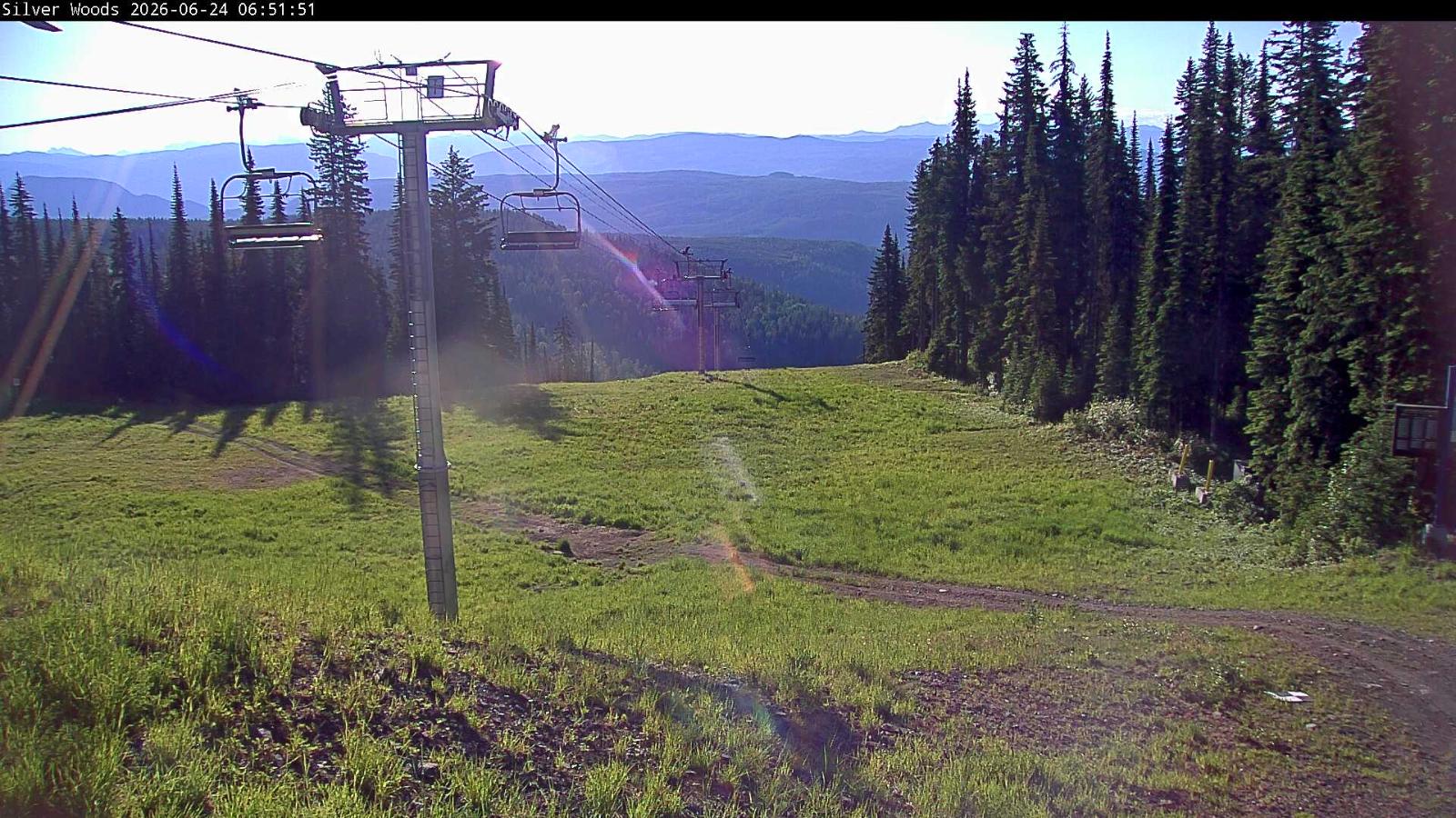 Webcam Silver Star: Top Of Silver Woods
