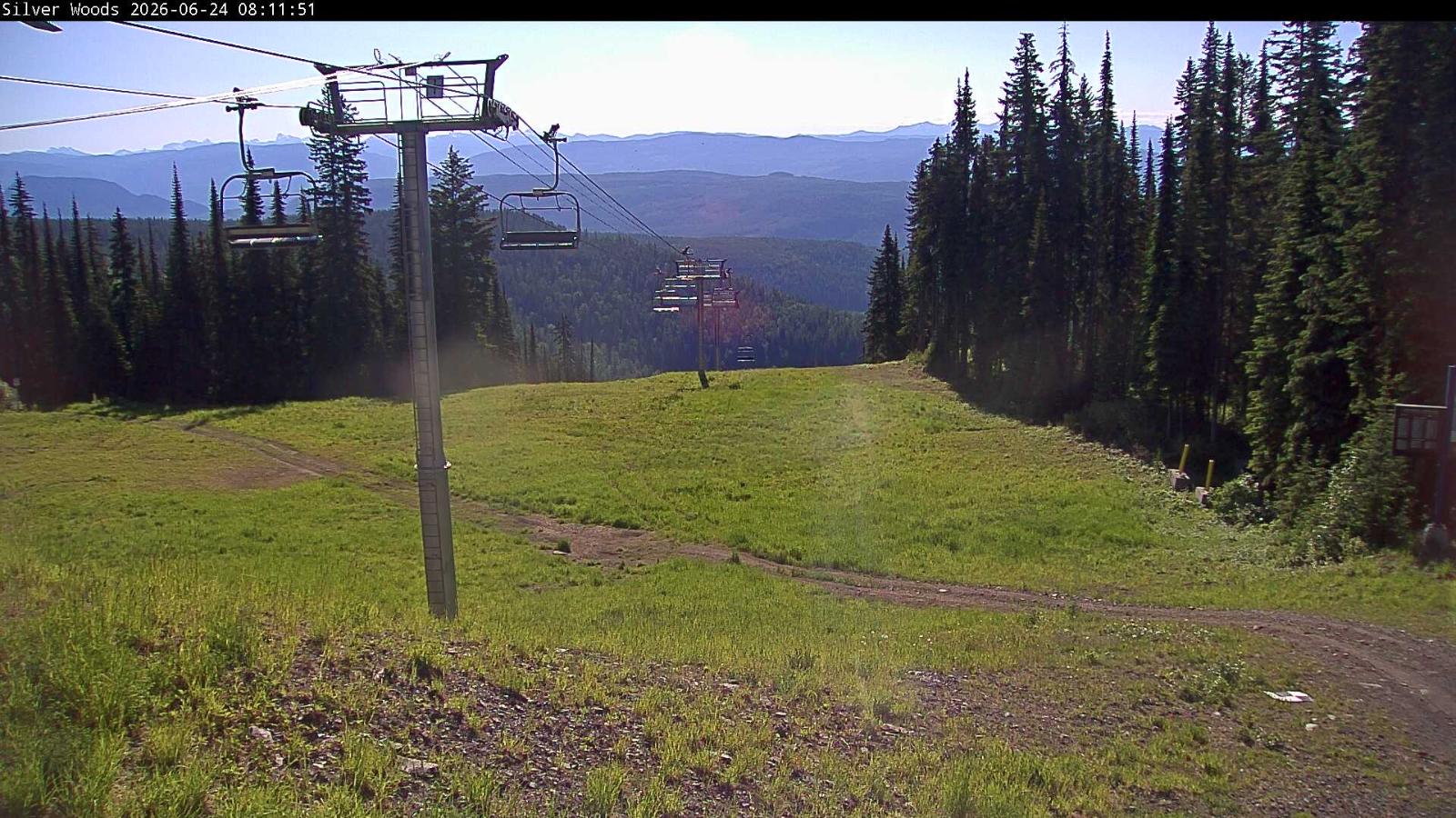 Webcam Silver Star: Top Of Silver Woods