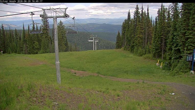 Webcam Silver Star: Top Of Silver Woods